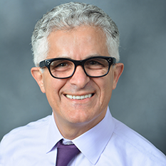 梅納赫姆·埃利梅萊赫 梅納赫姆·埃利梅萊赫