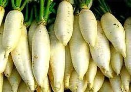 萊菔 萊菔