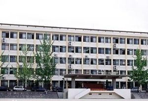 仁德大學 仁德大學