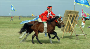 馬王之鄉 馬王之鄉