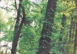 九疑山國家森林公園