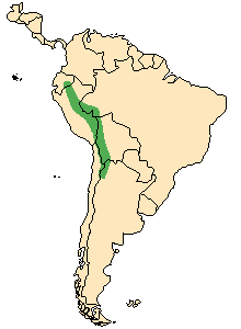 秘魯馬駝鹿分布區