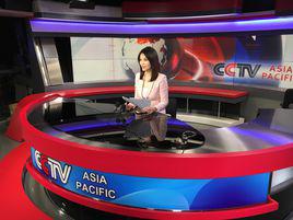 劉楠[中央電視台駐外記者製片人]