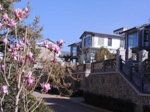 大理公館溫泉度假村 大理公館溫泉度假村