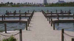 東營民豐湖休閒娛樂區 東營民豐湖休閒娛樂區