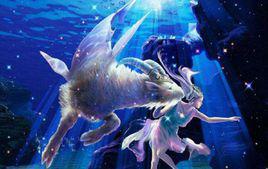 摩羯[十二星座之一]