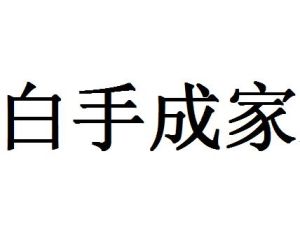 白手成家
