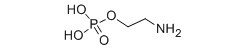 磷醯乙醇胺