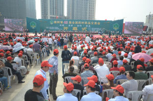 樟樹藥交會 樟樹藥交會