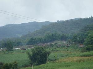 南育河自然村 南育河自然村