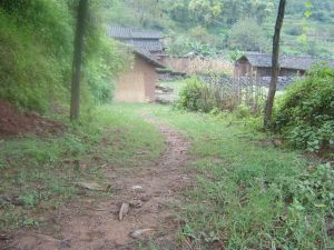 下社自然村 下社自然村