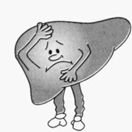 肝炎肝硬化 肝炎肝硬化