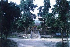 大乘山森林公園