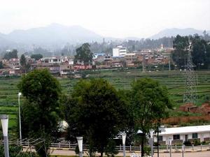 太平新村 太平新村