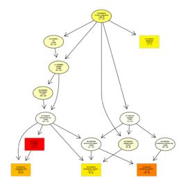 細胞組分 細胞組分