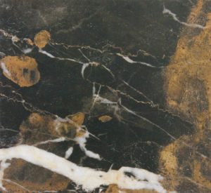 阿富汗黑金花 | Black amp; Cold |