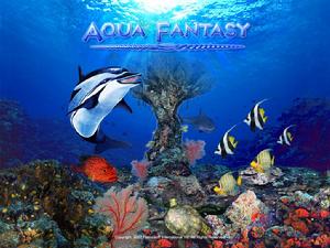 《夢幻海洋島》 《夢幻海洋島》