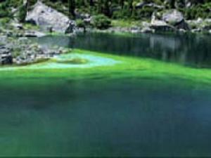 阿克蘇庫爾米什阿塔木麻扎