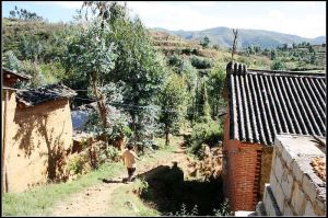 山高龍井村 山高龍井村