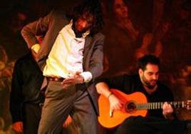 弗拉門哥舞 弗拉門哥舞