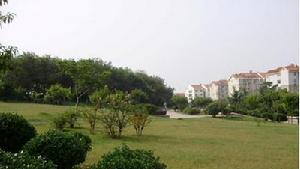 僑園新村 僑園新村