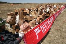 青島市消費者協會