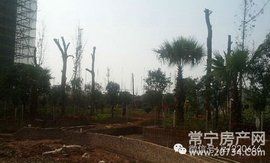 常寧房產網 常寧房產網