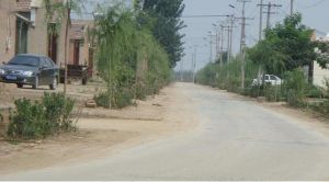 東六里長屯村 東六里長屯村