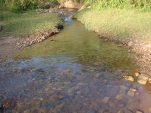 大曼尾村 大曼尾村
