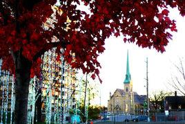 薩尼亞市 薩尼亞市