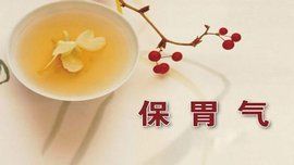 胃氣不足 胃氣不足