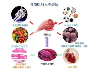 慢性消耗性疾病