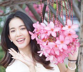 Bow Maylada Bow Maylada