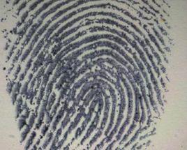 有機顯色法 有機顯色法