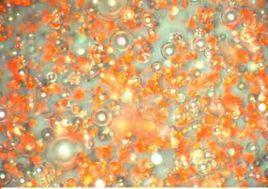 彩色陶瓷空心微珠 彩色陶瓷空心微珠