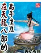 在天龍八部的高手生涯 在天龍八部的高手生涯