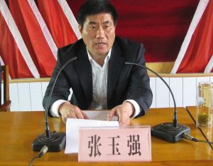 張玉強[安徽省監察委員會第二紀檢監察室副主任]