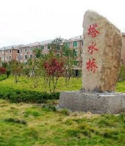 塔水橋村 塔水橋村