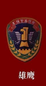 雄鷹特種大隊 雄鷹特種大隊