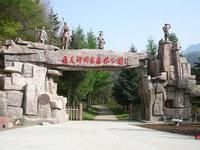 通天河森林公園 通天河森林公園