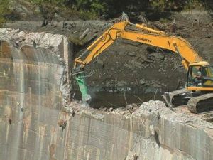 反壩運動 反壩運動