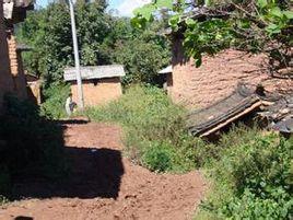 沈家村[雲南省楚雄楚雄市紫溪鎮冷水村委會下轄村]