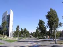 迪金大學 迪金大學