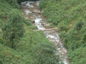 擺尾箐村 擺尾箐村