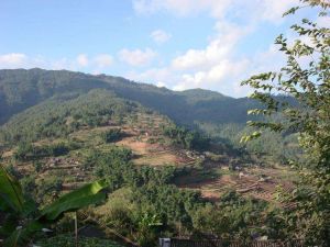 上長路自然村 上長路自然村