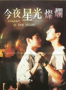 今夜星光燦爛[1988年許鞍華執導電影]