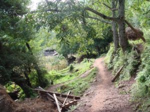 坤場自然村 坤場自然村