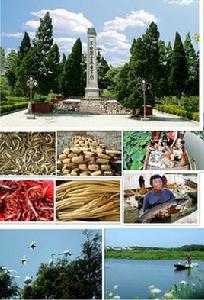 汴河鎮[湖北省荊州市監利縣下轄鎮]