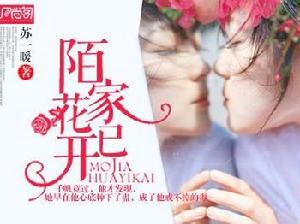 紅袖添香小說網