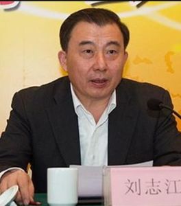 劉志江[中國建材集團有限公司黨委副書記、副董事長]